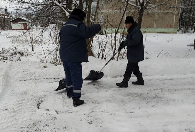 В Рузском округе расчищают территории