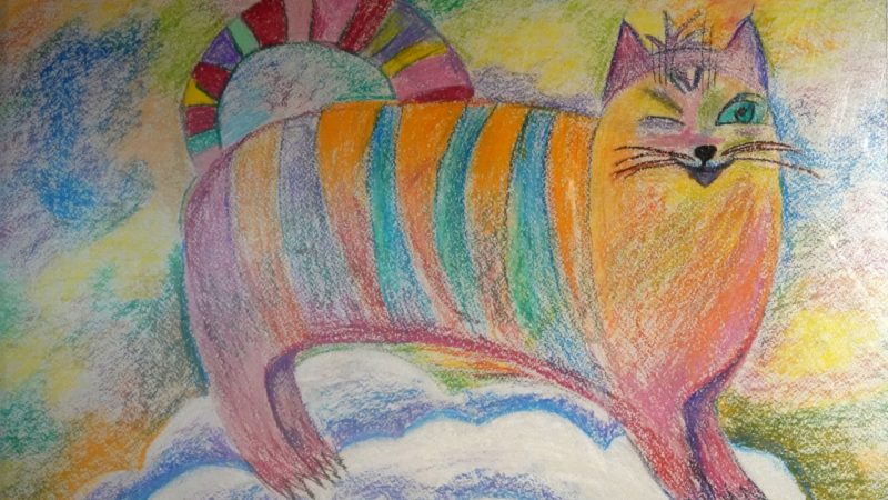 Выставка «Удивительный мир животных» отрыта в Рузском музее