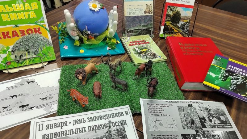 В Краснооктябрьской библиотеке состоялось экологическое мероприятие