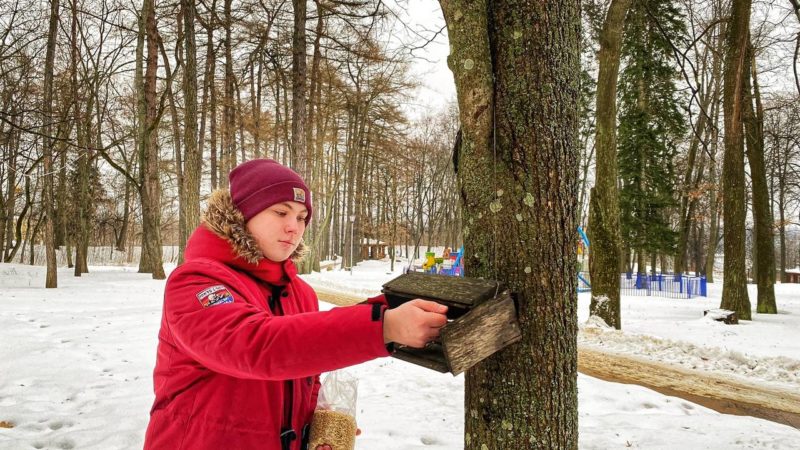 На Городке заботятся о пернатых