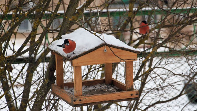 Жителей Рузского округа приглашают к участию в конкурсе