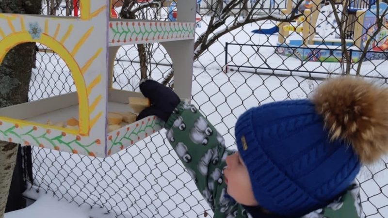 Рузские школьники подкармливают пернатых