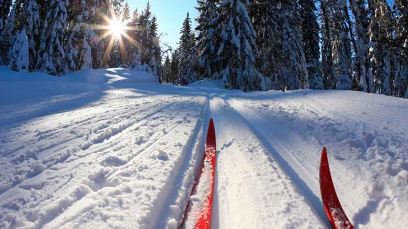 Занятия лыжным спортом для рузских долголетов