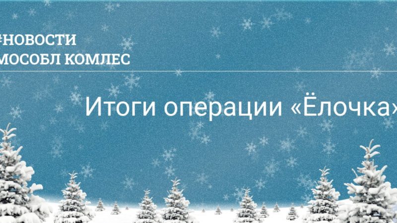 12 уголовных дел – итоги операции «Ёлочка»