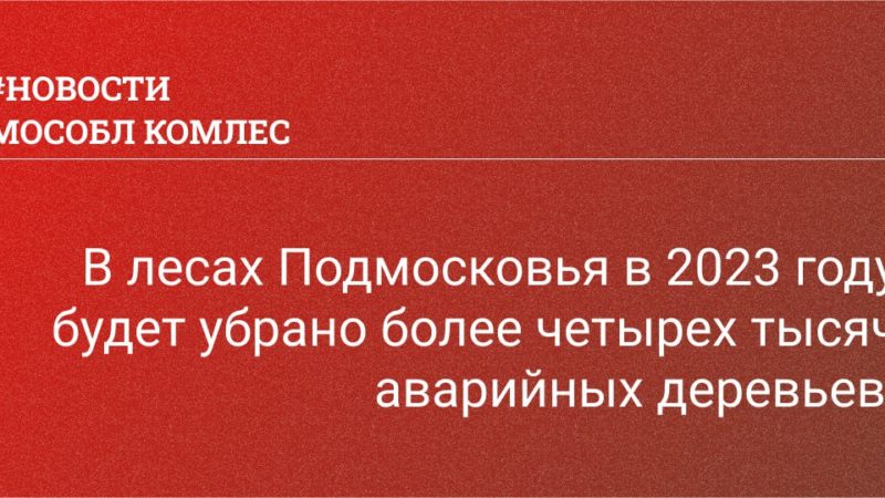 В лесах Подмосковья в 2023 году будет убрано более четырех тысяч аварийных деревьев