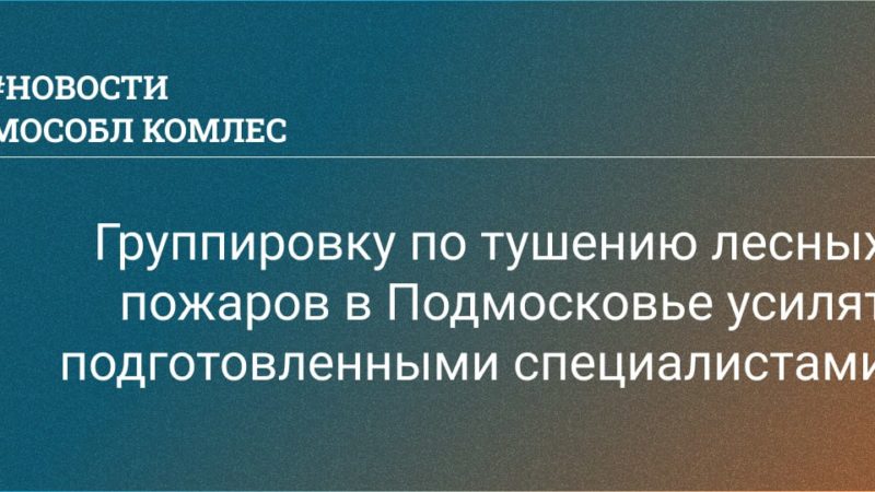 Группировку по тушению лесных пожаров в Подмосковье усилят подготовленными специалистами
