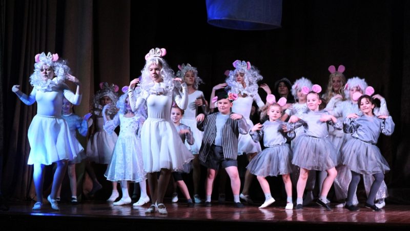 В Дорохово прошел спектакль театральной студии «Волшебство»