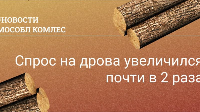 В Подмосковье спрос на заготовку населением древесины на дрова увеличился почти в два раза