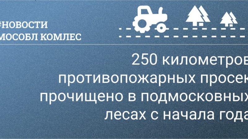 С начала года в подмосковных лесах прочищено 250 километров противопожарных просек