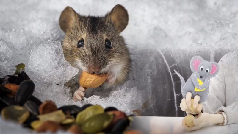 В Рузском ЦКиИ прошел онлайн мастер-класс