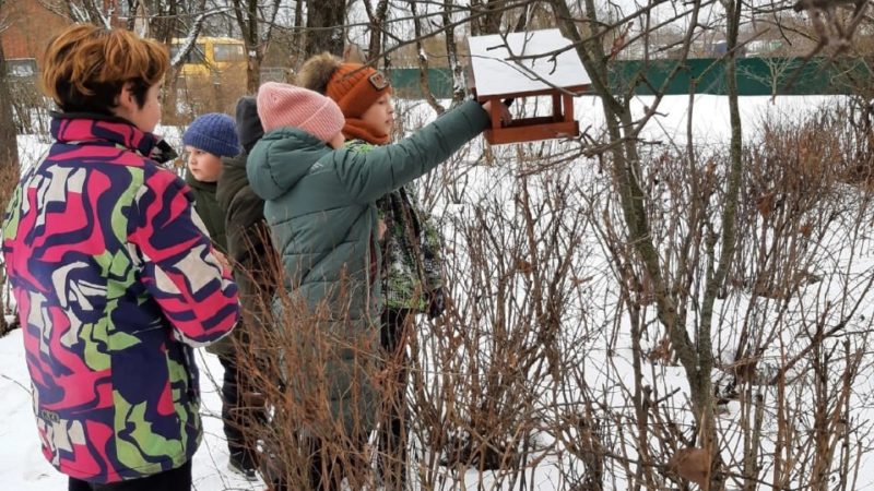 В Рузском округе продолжают кормить зимующих птиц