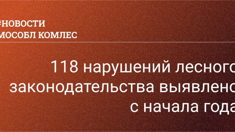 Более ста нарушений лесного законодательства выявлено с начала года в подмосковных лесах