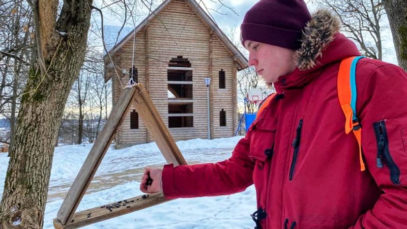 На Городке наполнили кормом «птичьи столовые»