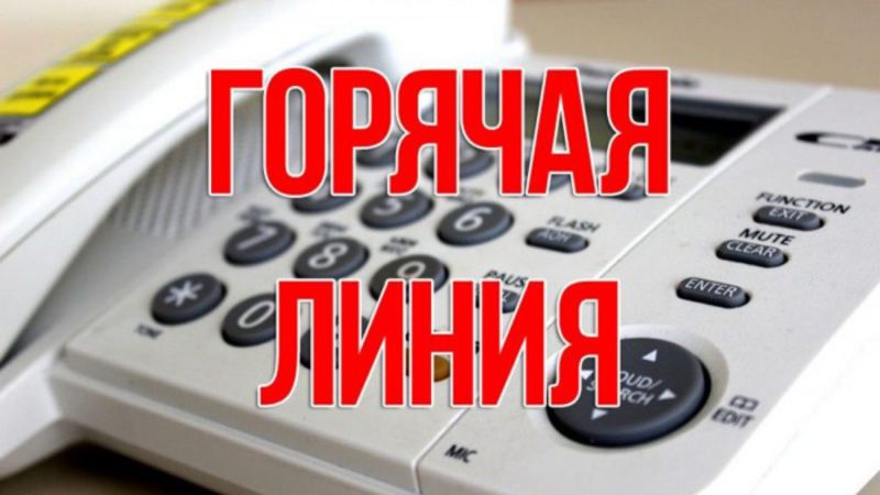 Ружанам – о Всероссийской горячей линии