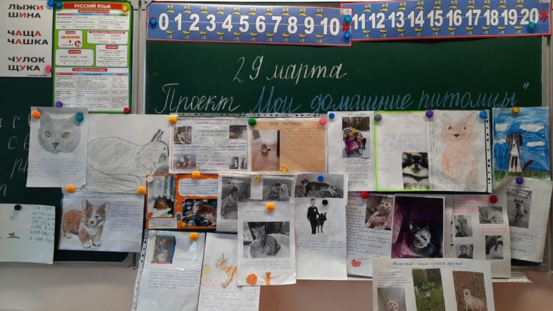 Лицеистам – о роли домашних животных в жизни человека