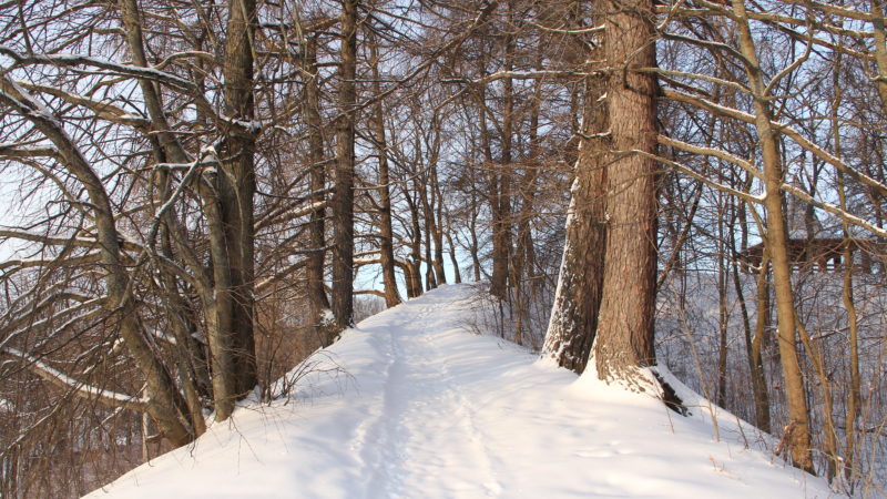 На Городке пройдут интересные мероприятия
