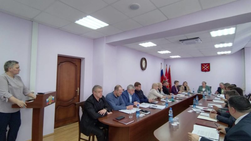 Лариса Бурова сообщила депутатам о результатах контрольного мероприятия в РДШИ