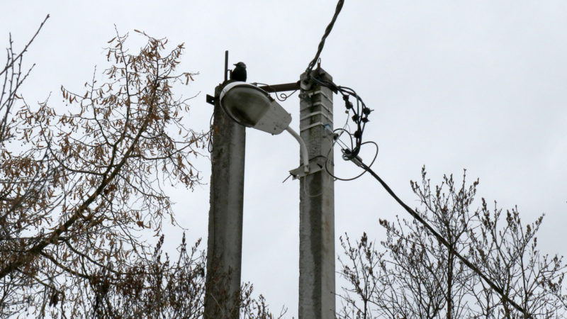 В Рузском округе ремонтируют светильники