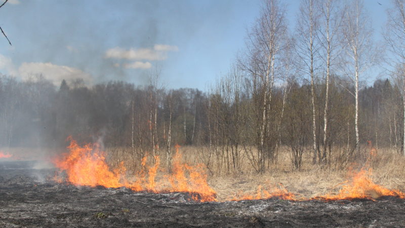 Ружан предупреждают об ответственности за пал сухой травы