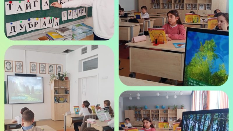 Тучковские школьники отгадали загадки о лесе