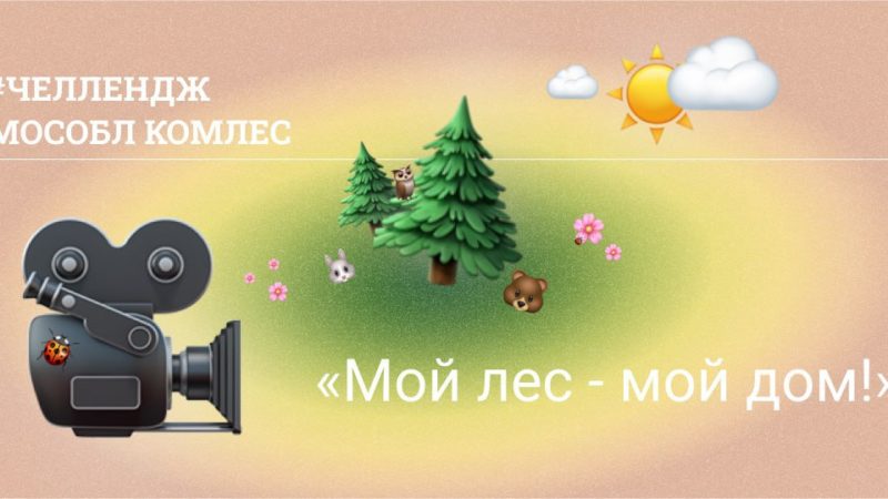 Школьников Рузского городского округа информируют о челлендже «Мой лес – мой дом»