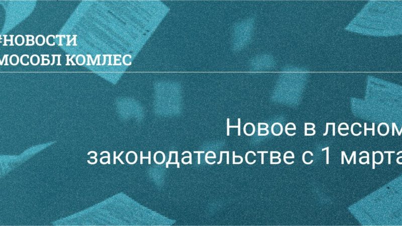 В России 1 марта вступили в силу изменения в Правила противопожарного режима