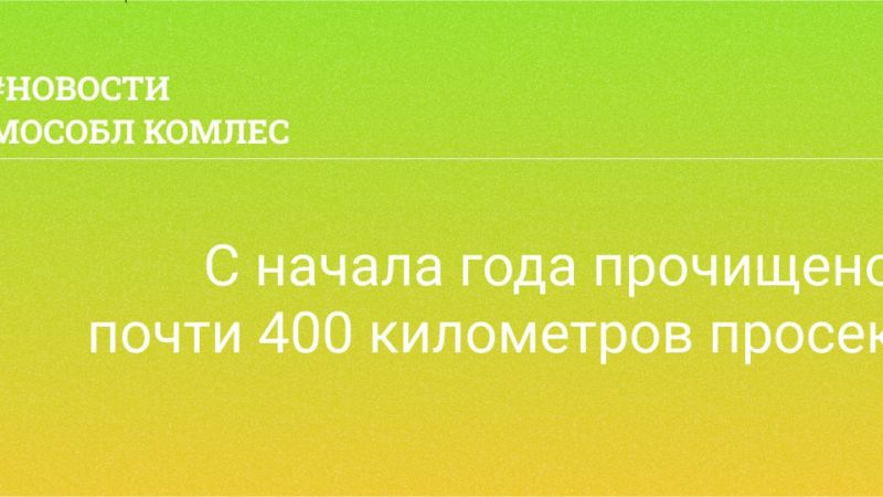 С начала года в подмосковных лесах прочищено почти 400 километров просек