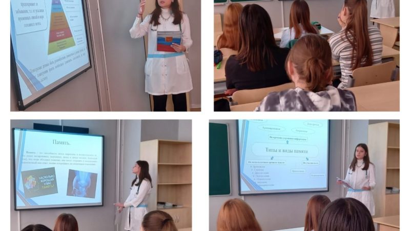 Тучковские выпускники получили советы по подготовке в ЕГЭ