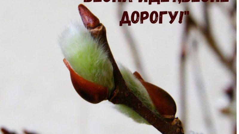 Пенсионеры, присылайте фотографии на весенние темы