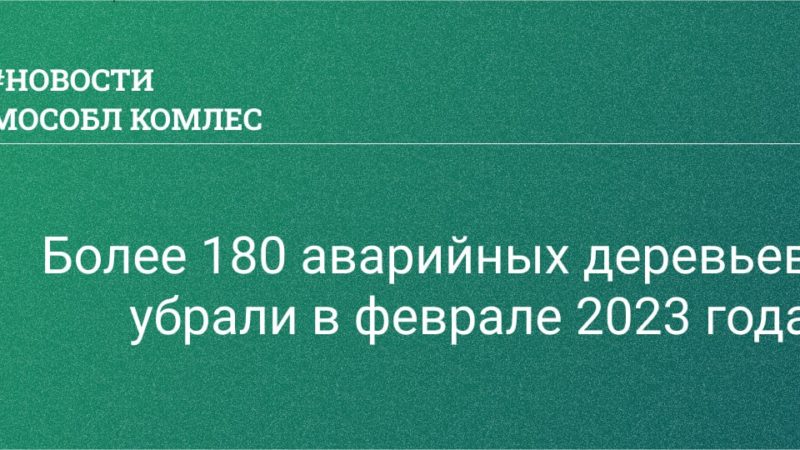 В подмосковных лесах убрали более 180 аварийных деревьев