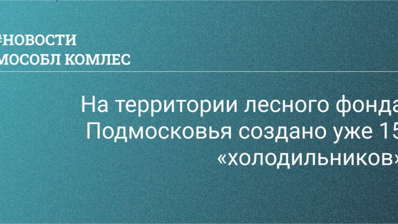На территории лесного фонда Подмосковья создано уже 15 «холодильников»