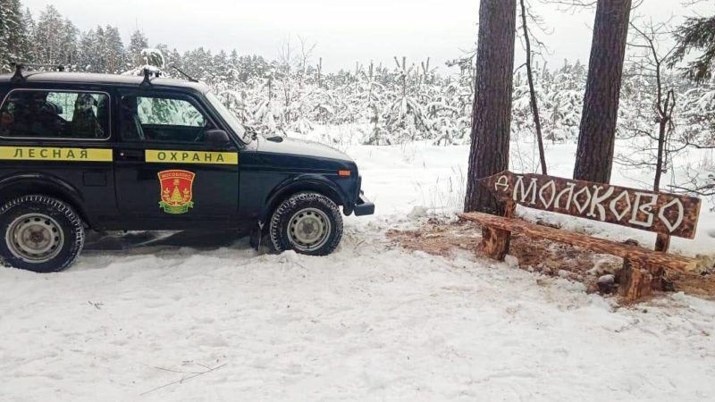 В лесах Подмосковья с начала года установили 13 лавочек-навигаторов
