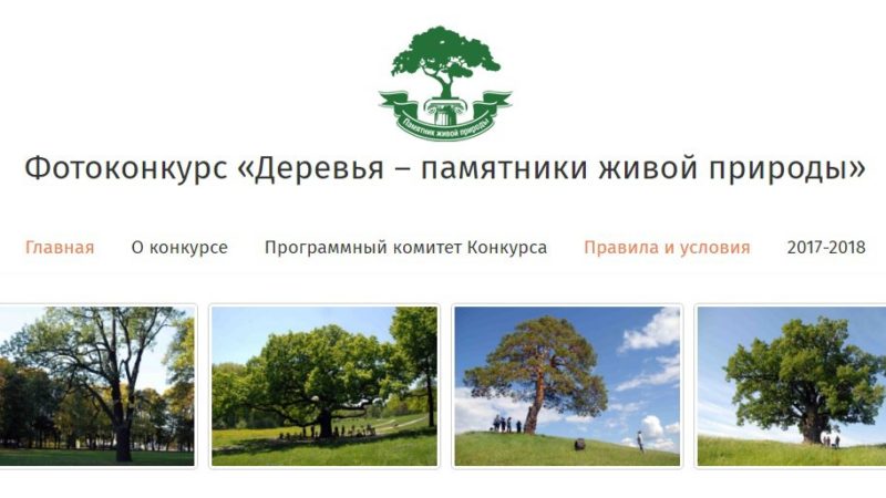 Жителей Рузского городского округа информируют о Всероссийском конкурсе