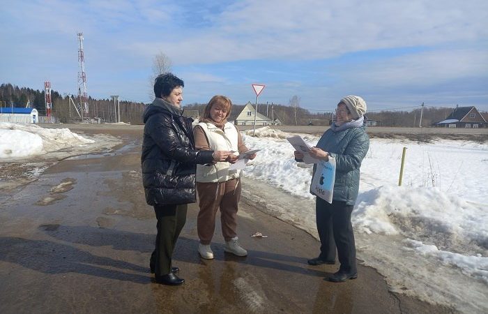 В Богородском и Златоустово прошла акция «Стихи в карман»