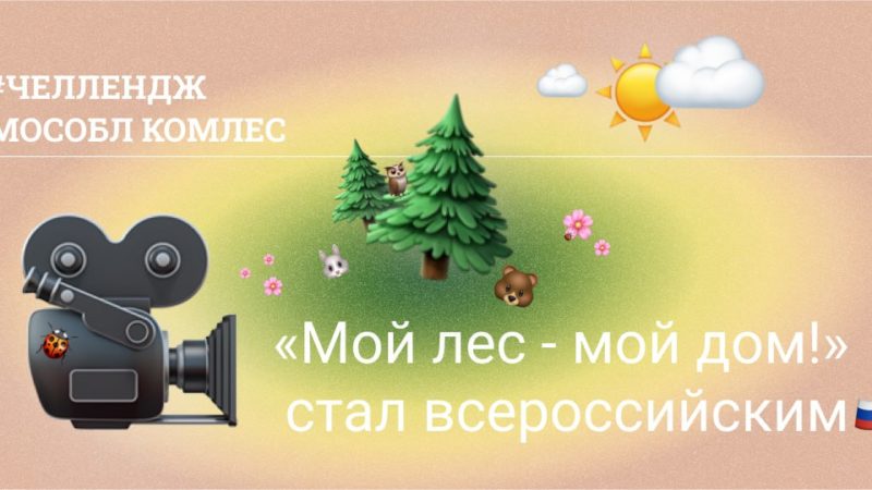 Школьникам Рузского городского округа – о челлендже «Мой лес – мой дом»