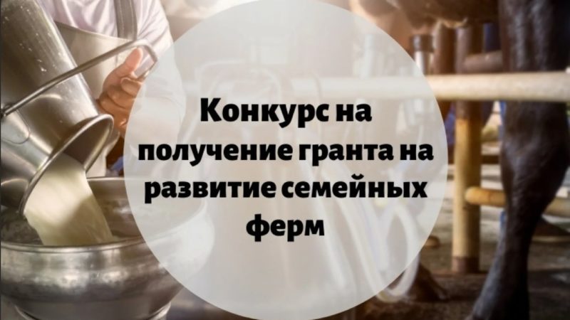 Фермеры Рузского городского округа могут получить гранты на  «Семейную ферму»