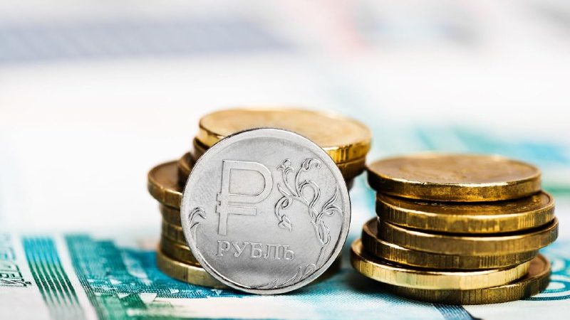 Жителей Рузского городского округа информируют: инфляция в Подмосковье снизилась на 6%