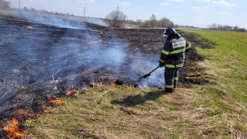 Жителей Рузского округа призывают не сжигать сухую траву