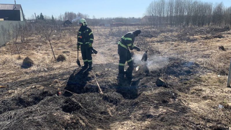 Ружане, не поджигайте прошлогоднюю траву!