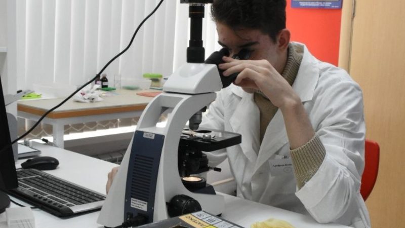 Рузский ученик стал призером регионального чемпионата по профмастерству