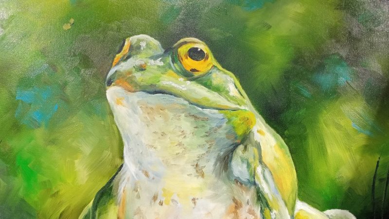 Ружан приглашают на выставку в краеведческий музей