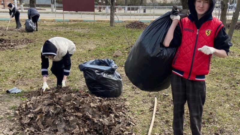 Территорию ТЦКиИ привели в порядок