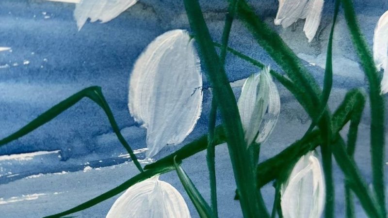 Юным тучковцам рассказали легенды о подснежнике