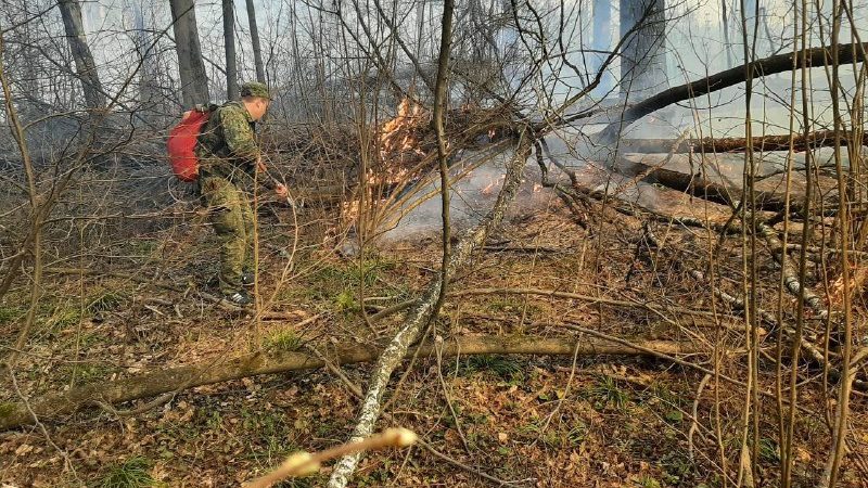 Жителям Рузского городского округа сообщают: в подмосковных лесах ликвидировали 35 пожаров