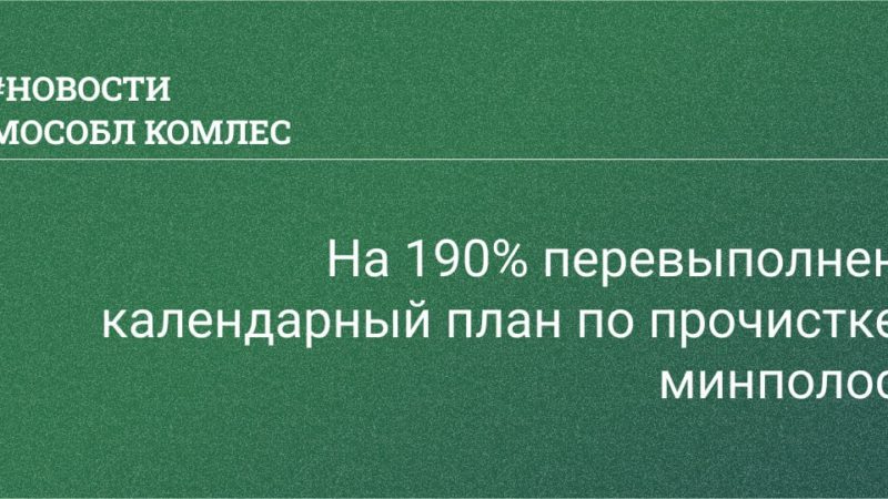 Жителей Рузского городского округа информируют: план по прочистке минерализованных полос выполнен на 190%