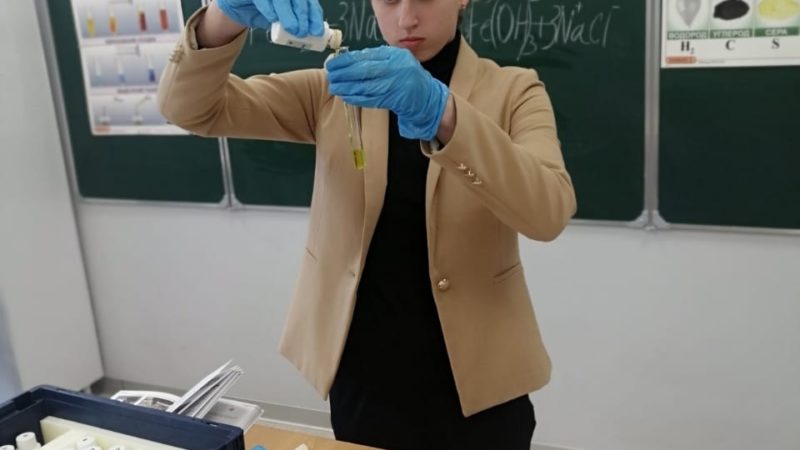 Дороховские девятиклассники защищали свои проектные работы