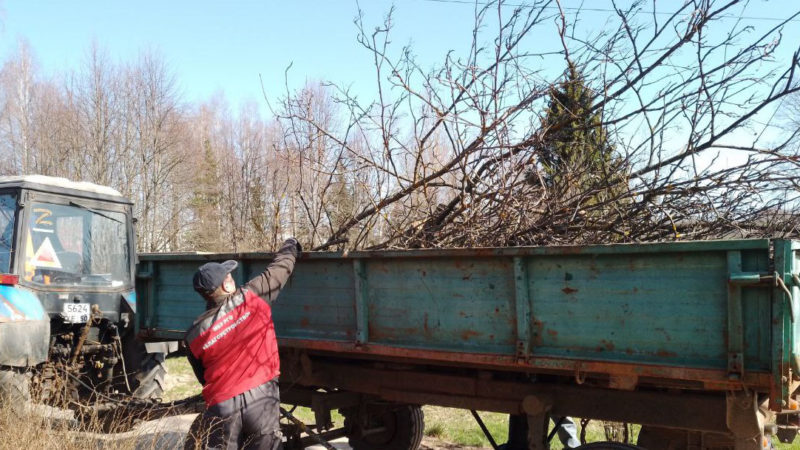 В Рузском округе обрезают кусты и деревья