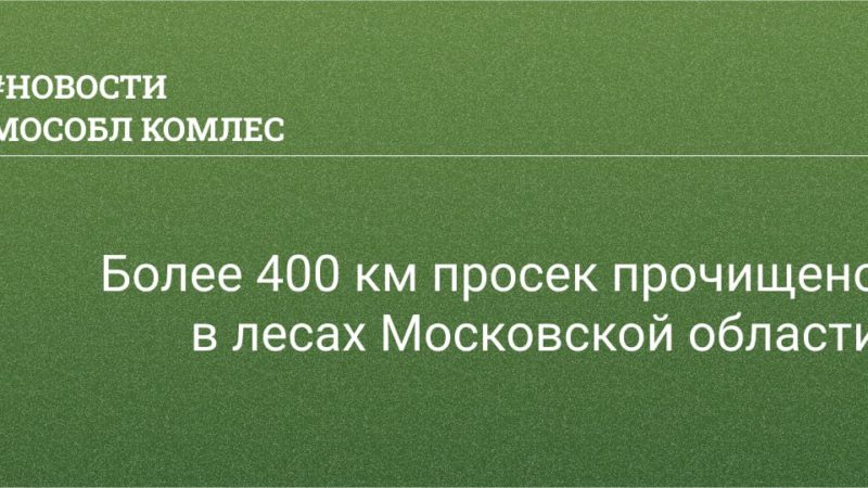 Жителям Рузского городского округа сообщают: более 400 км просек прочищено в подмосковных лесах