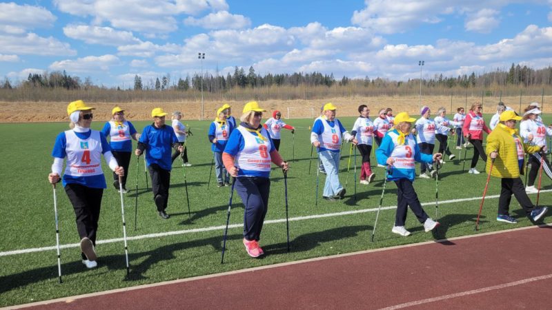 Рузские долголеты приняли участие в фестивале по скандинавской ходьбе