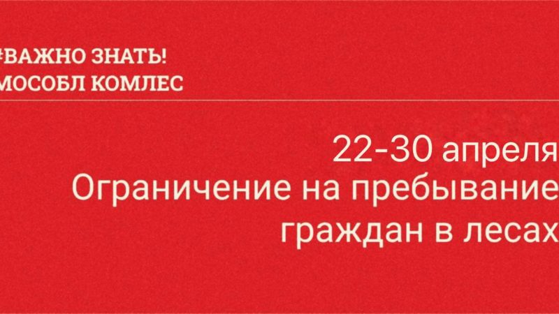 Жителям Рузского городского округа – об ограничении доступа в лес